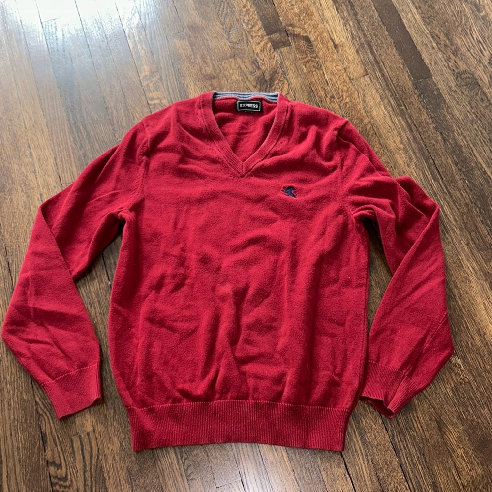 Express men’s v neck sweater